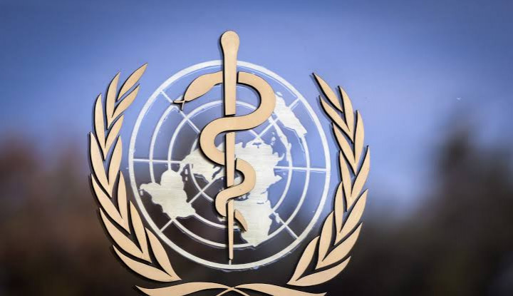 Indonesia Berbagi Peran Penting Dengan World Health Organization Dalam Menyikapi Pandemi